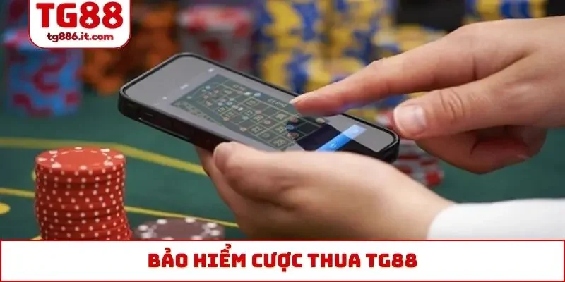 bảo hiểm cược thua TG88