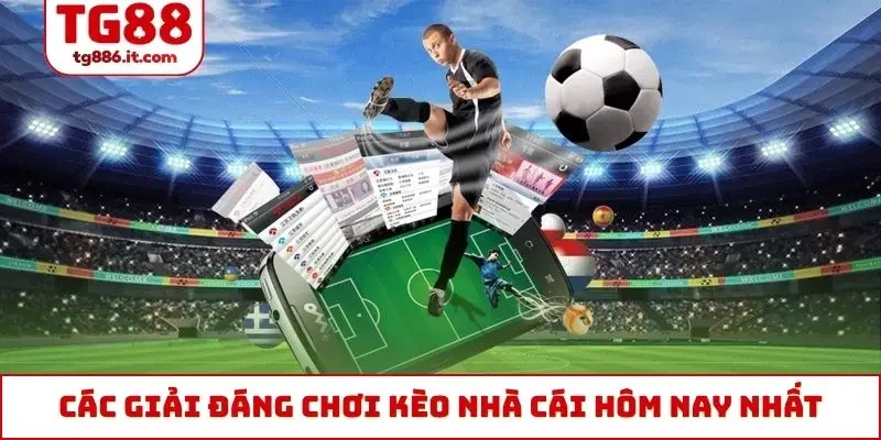 Các giải đáng chơi kèo nhà cái hôm nay nhất
