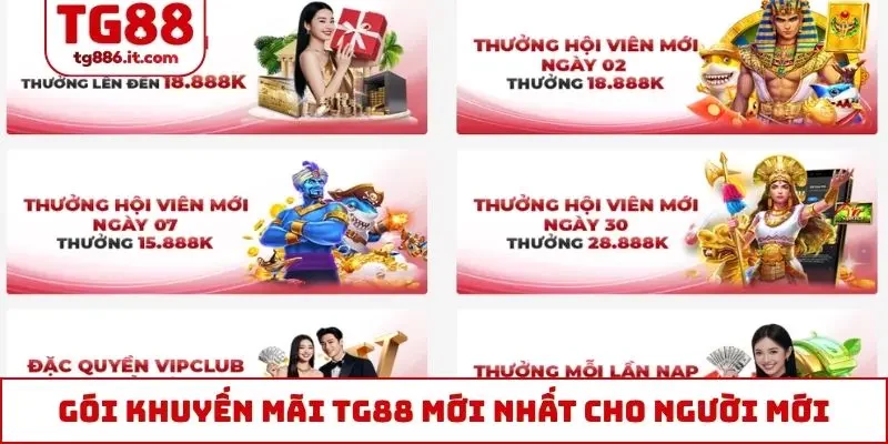Gói khuyến mãi TG88 mới nhất cực chất cho người mới