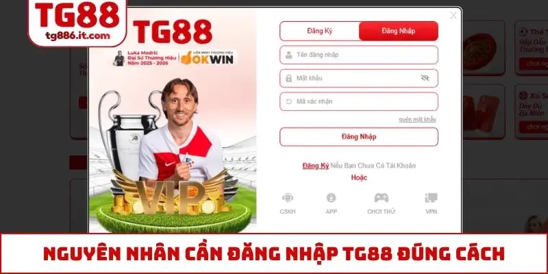 Nguyên nhân thành viên cần đăng nhập TG88 đúng cách