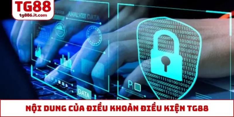 Nội dung của điều khoản điều kiện TG88 quan trọng nhất