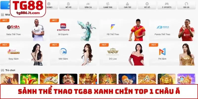 Sảnh thể thao TG88 xanh chín top 1 châu Á