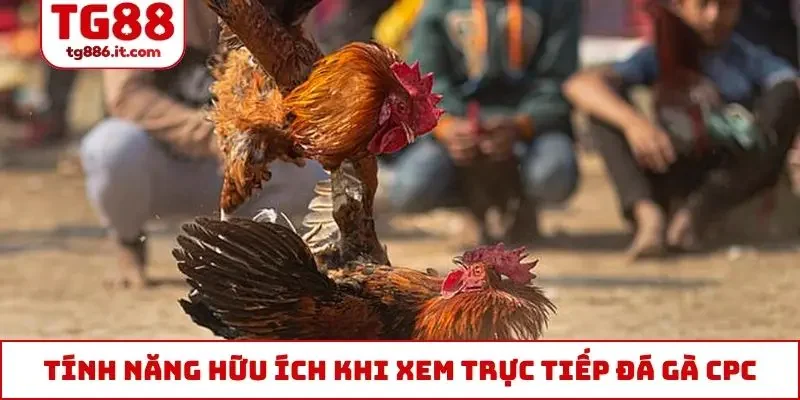 Tính năng hữu ích khi xem trực tiếp đá gà CPC