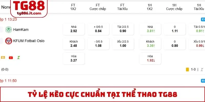 Tỷ lệ kèo cực chuẩn tại thể thao TG88